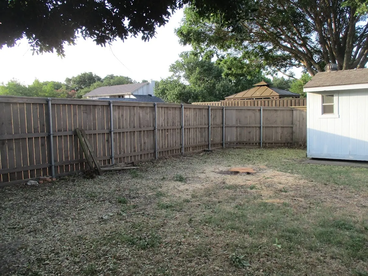 Cleared yard after professional tree removal in Kirkwood