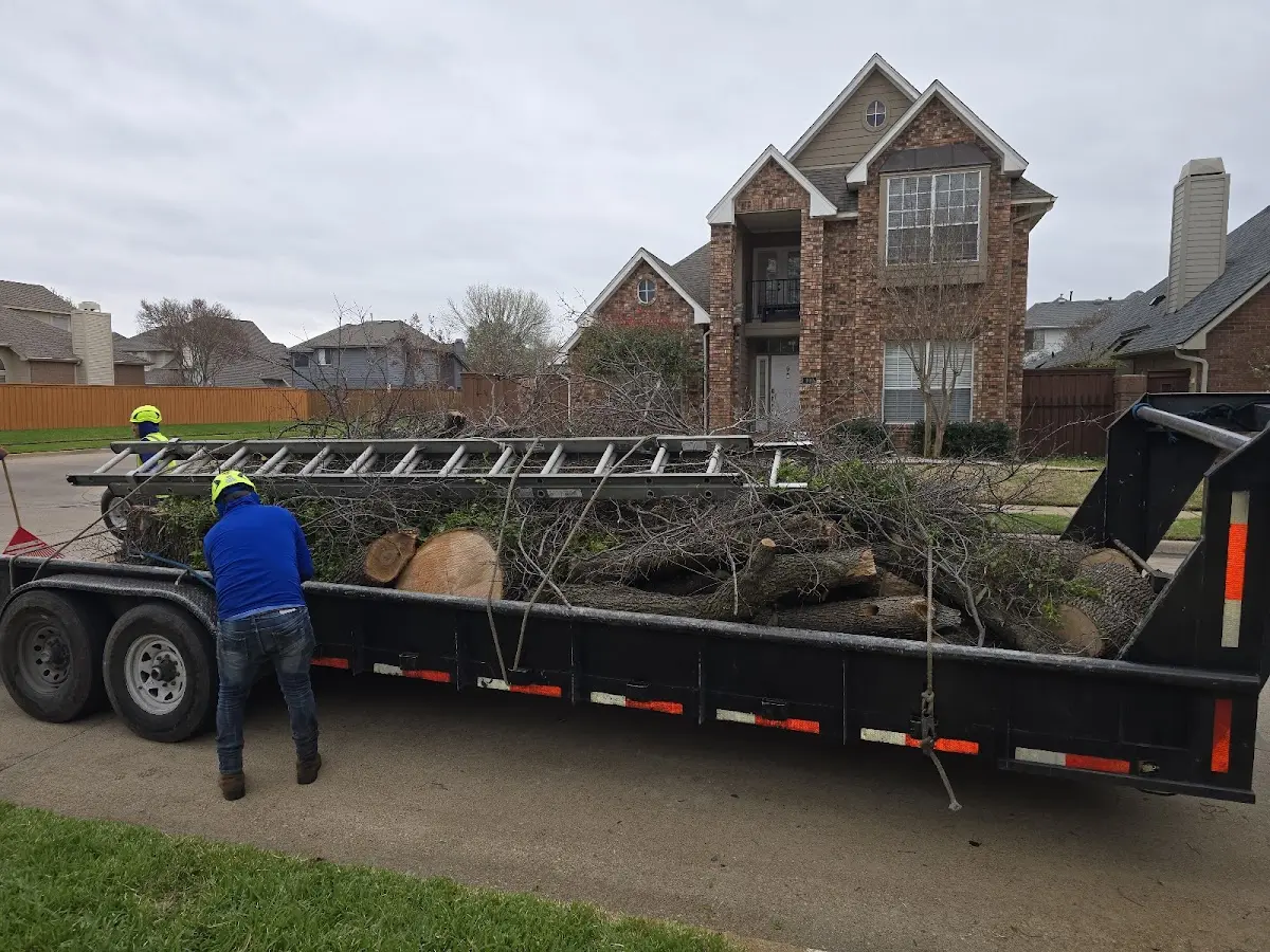 Expert Tree Removal with proper safety equipment in Kirkwood